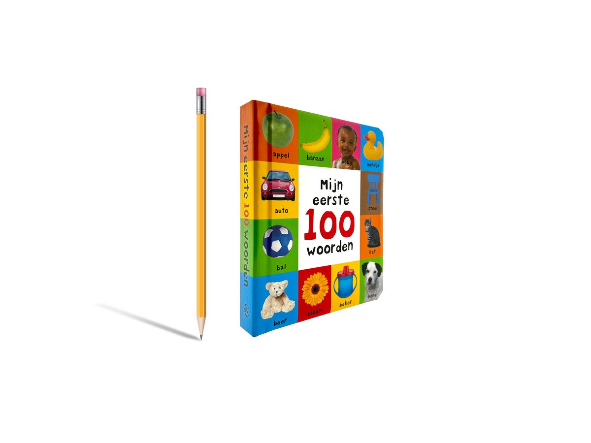 Mijn eerste 100 woorden, Roger Priddy | Kartonboekje | 9789000392599