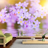 Fotobehangkoning - Behang - Vliesbehang - Fotobehang Bloemetjes boven het Water -  Violet Petals In Bloom - 400 x 280 cm