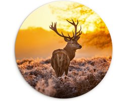 WallCircle - Wandcirkel hert 150x150 cm - Ronde dieren schilderijen woonkamer - Herfstdecoratie - Wandbord herfst rond - Hertenkop decoratie - Muurdecoratie natuur cirkel - Huis kamer accessoires - Wanddecoratie muurcirkel - Woonaccessoires
