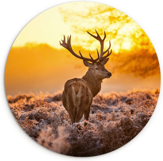 WallCircle - Wandcirkel hert 150x150 cm - Ronde dieren schilderijen woonkamer - Herfstdecoratie - Wandbord herfst rond - Hertenkop decoratie - Muurdecoratie natuur cirkel - Huis kamer accessoires - Wanddecoratie muurcirkel - Woonaccessoires