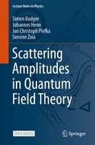 Lecture Notes in Physics- Scattering Amplitudes in Quantum Field Theory
