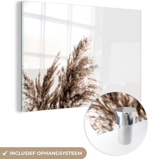 MuchoWow® Glasschilderij 120x80 cm - Schilderij acrylglas - Pampas pluimen - Natuur - Pampasgras - Foto op glas - Schilderijen