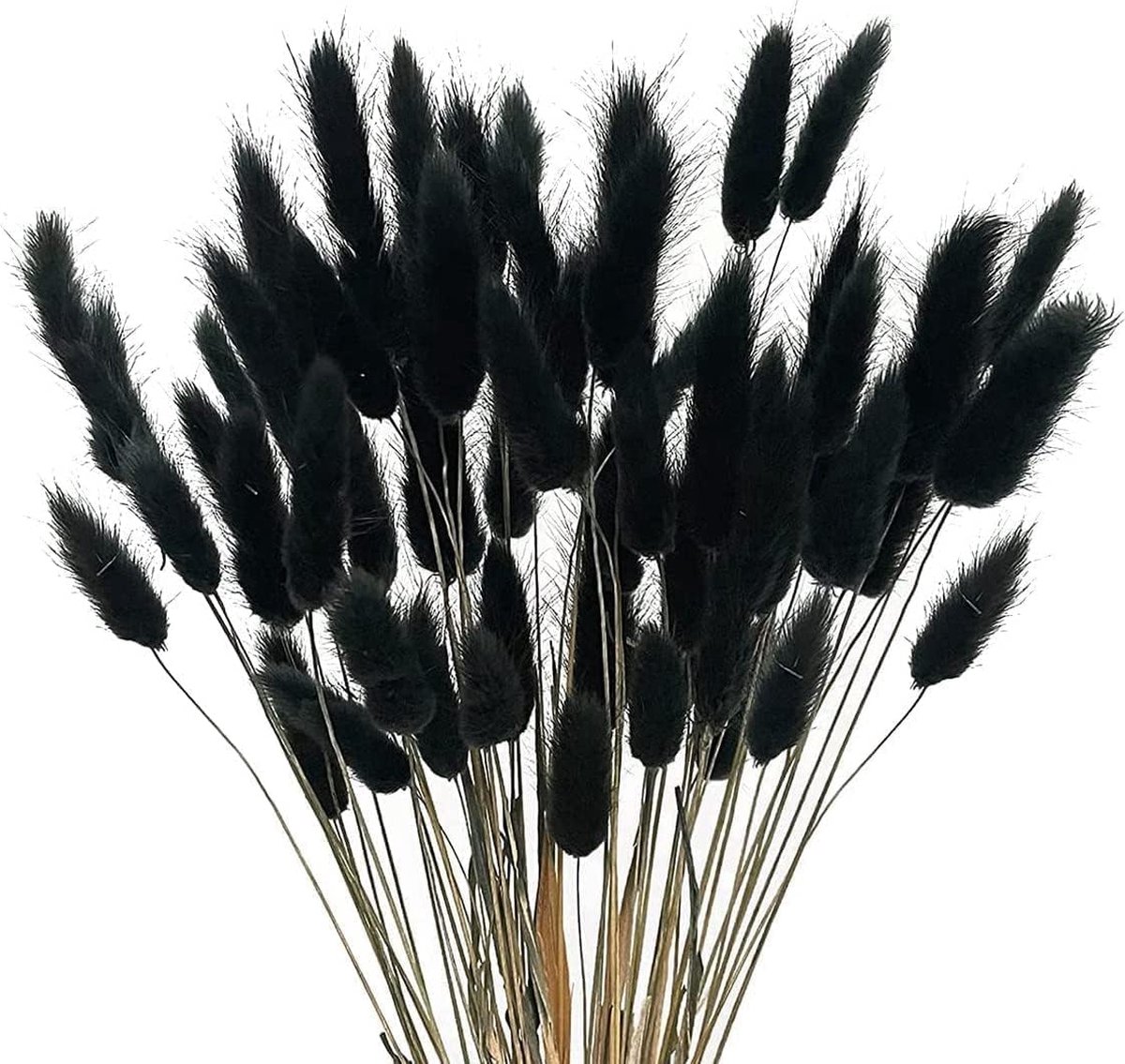 Lagurus Ovatus Grassen, 60 stuks, 40 cm, gedroogd hazenstaartgras, bamboe, fluweel, gedroogd pampasgras, decoratieve plant, huisdecoratie, ruscuscus, droogbloemen, kunstmatig kleine dried bloemen