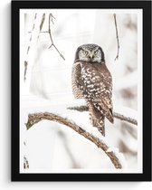 Fotolijst inclusief poster 30x40 cm - Winter uil - Foto in lijst - Natuurlijke sneeuw decoratie - Muurdecoratie vogels woonkamer - Houten muur fotohouder - Picture frame - Schilderijlijst - lijst - Fotoframe