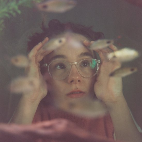 Morgan Harper Jones - Up To The Glass (LP)