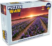 Puzzel Hyacinten in Nederlands landschap - Legpuzzel - Puzzel 500 stukjes