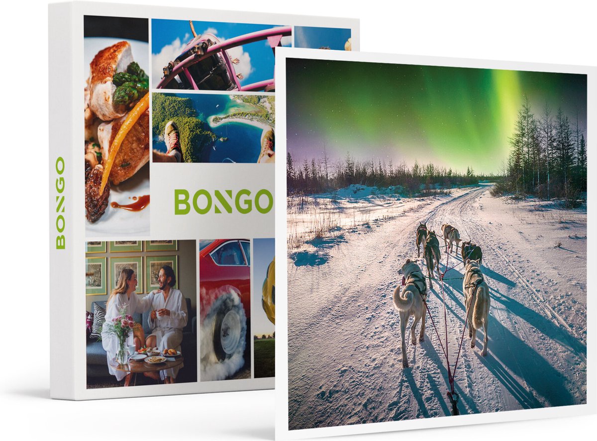Bongo Bon -4 Dagen Noorwegen Incl. Noorderlicht En Hondensleetocht- Cadeaukaart