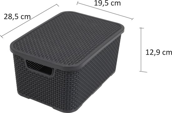 Universele Container  Voor Het Opbergen Van Schoenen  In Rotan Design Set Van 2 Maat L 19 L Transparant Bpa Vrije Kunststof Pp 19 L