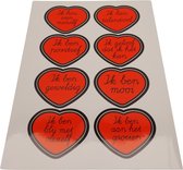 Joy in my Heart - Affirmatiestickers - complimentenstickers - jezelf liefhebben - zelfvertrouwen - Stickervel 8 stuks van 50 mm - Type 2