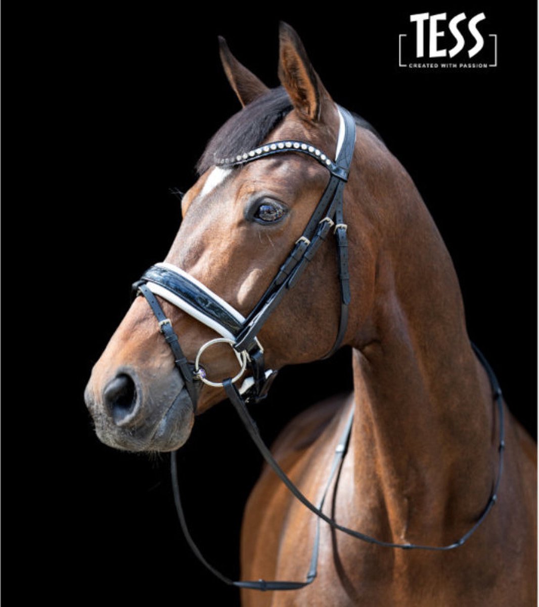 Hoofdstel TESS Standaard trenshoofdstel Slim zwart/wit maat Full