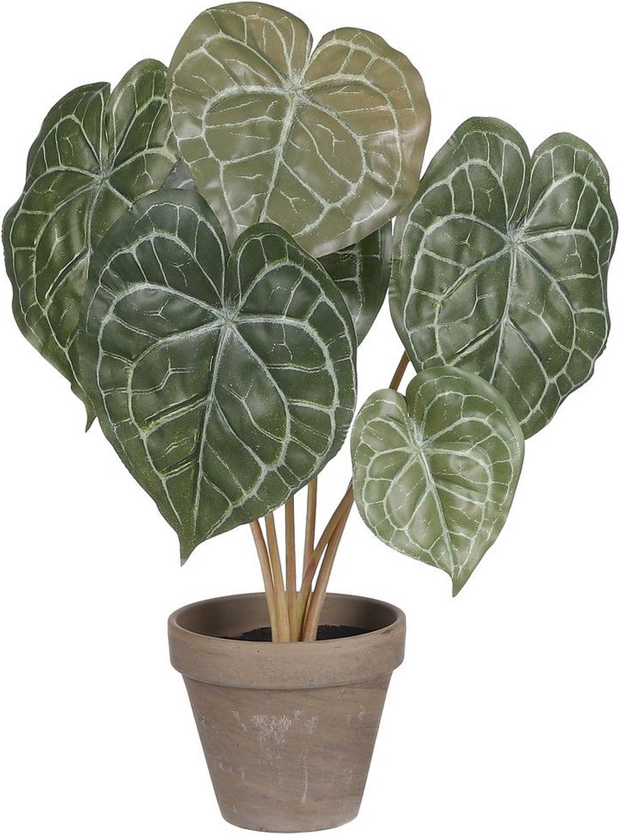 Mica Decorations PEPEROMIA KUNSTPLANT IN BLOEMPOT STAN - H38 X Ø33 CM - GROEN
