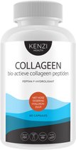 Collageen Peptan F 60 Capsules