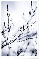 JUNIQE - Poster Winter Branches 2 -30x45 /Wit & Zwart