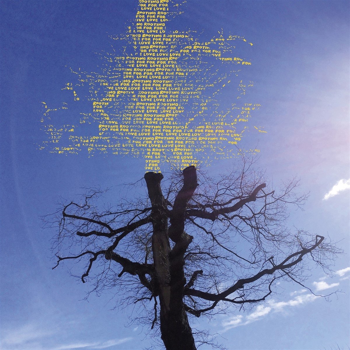 Laetitia Sadier - Rooting For Love (LP) (Limited Edition)