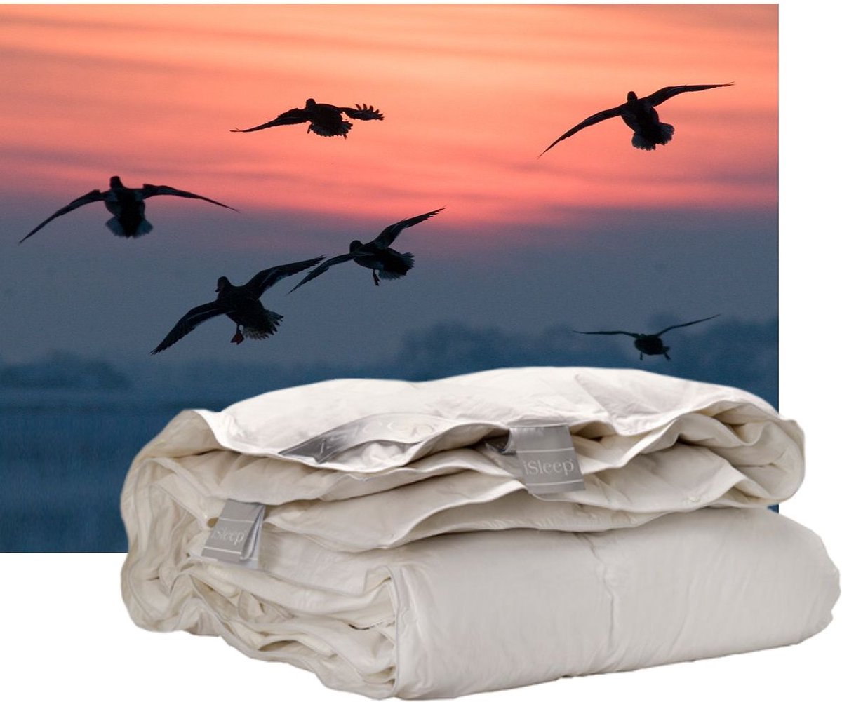Isleep Donzen 4-Seizoenen Dekbed - 60% Dons - Eendendons en Eendenveren - Eenpersoons - 140x200 cm