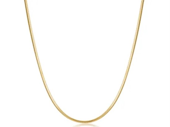 Ketting Stainless Steel- Goudkleurig - 45 cm