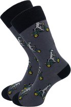 SQOTTON® - Naadloze sokken - Dalmatiër - Maat 36-40
