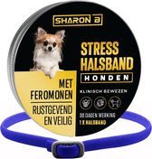 Feromonen halsband hond Blauw - Voor kleine hondjes - Nek omvang max 38 cm - met geruststellende feromonen - Kalmerend en ontspannend - anti stress hond - kalmerend en rustgevend - tegen stress, angst en agressie bij honden