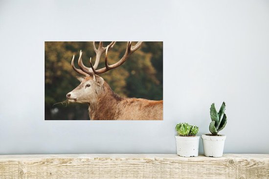 Affiche Cerf - Bois - Forêt - 30x20 cm