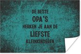 Poster De beste opa's - Spreuken - Opa - Quotes - 90x60 cm - Vaderdag cadeau - Geschenk - Cadeautje voor hem - Tip - Mannen