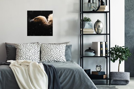 Poster Vautour - Wit - Zwart - 50x50 cm