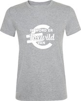 Foxwild Dames t-shirt met euro teken  | Massa is kassa | ik word er foxwild van | tshirt | Grijs