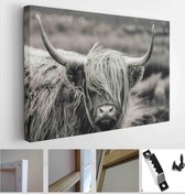 Scottish Highland cattle - Modern Art Canvas - Horizontal - 753541153 - 40*30 Horizontal