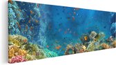 Artaza Canvas Schilderij Onderwater Vissen Met Koraal In De Zee - 120x40 - Groot - Foto Op Canvas - Canvas Print