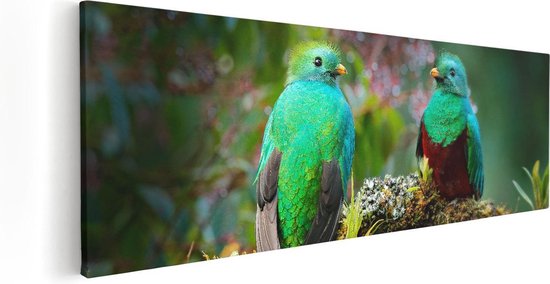 Artaza - Peinture sur toile - Deux Vogels Quetzal verts sur une branche - 120 x 40 - Groot - Photo sur toile - Impression sur toile