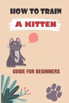 How To Train A Kitten: Guide For Beginners