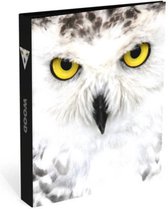 Lannoo Graphics - Ringband Owl 2 -Ringen  -  3cm
