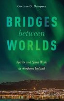 Bridges Between Worlds