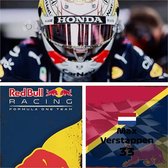 Aanbieding - Dutch GP F1 2021 - 3 metalen posters/bordjes - Max Verstappen - Red Bull Racing - RedBull - Circuit Zandvoort - F1 - Formule 1 - Vintage - Mancave