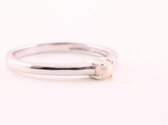 Fijne hoogglans zilveren ring met zoetwater parel - maat 19