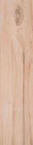 Bol.com-Minimaal 5 stuks afnemen Minimaal 5! Ceramica Lastra Etic Pro Venice-aanbieding Bol.com-Minimaal 5 stuks afnemen Minimaal 5! Ceramica Lastra Etic Pro Venice-aanbieding