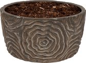 WLPlants Luxe Bloempot Rose Bowl Ø12 - Naturel - Hoogte 10 cm - Keramische sierpot met hoogwaardige afwerking - Geschikt als plantenpot - Binnen en buiten te gebruiken