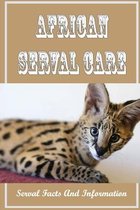 African Serval Care: Serval Facts And Information