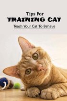 Tips For Training Cat: Teach Your Cat To Behave