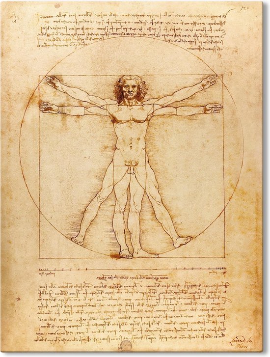 Canvas Schilderij Vitruviusman - Leonardo da Vinci - 40x60 cm