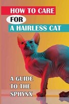 How To Care For A Hairless Cat: A Guide To The Sphynx Cat