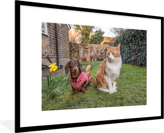 Affiche avec cadre Chien - Chat - Jardin - 90x60 cm