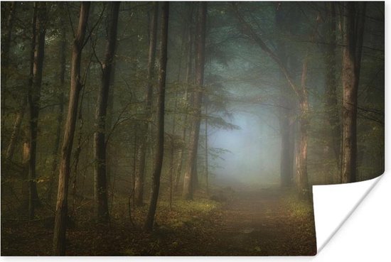 Poster 60x40 cm - Bos - Winter - Mist - Pad met bomen - Bospaden - Posters - Kamer decoratie - Wanddecoratie woonkamer - Muurdecoratie slaapkamer