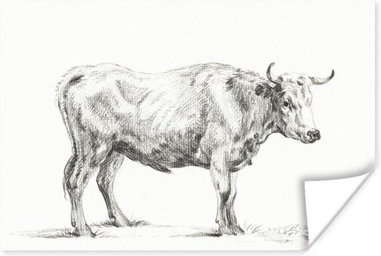 Poster Staande stier, naar rechts - schilderij van Jean Bernard - 120x80 cm