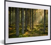 Affiche avec cadre Forêt - Arbre - Soleil - 40x30 cm