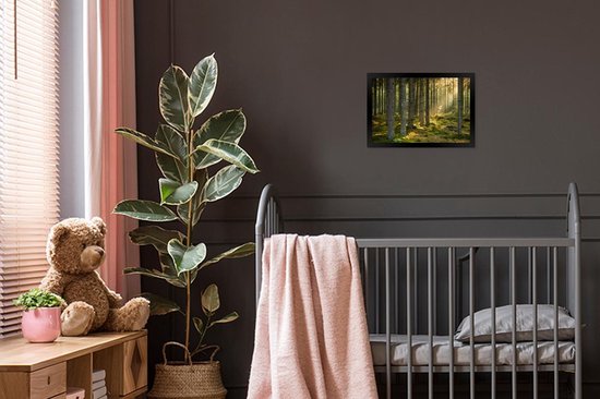 Affiche avec cadre Forêt - Arbre - Soleil - 30x20 cm