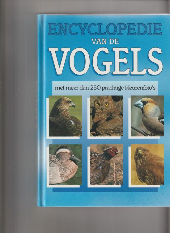 Foto: 