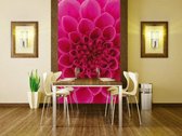 Dimex Pink Dahlia Vlies Fotobehang 150x250cm 2-banen