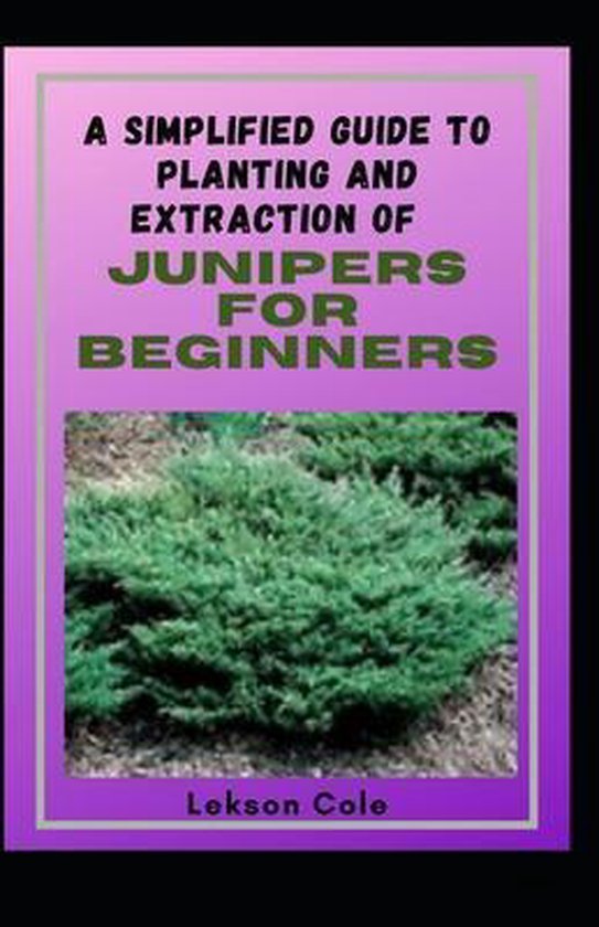 A Simplified Guide To Planting And Extraction Of Junipers For Beginners