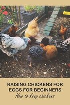 Raising Chickens for Eggs For Beginners: How to keep chickens