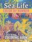 Sea Life Color By Number Coloring Book For Kids 4-8